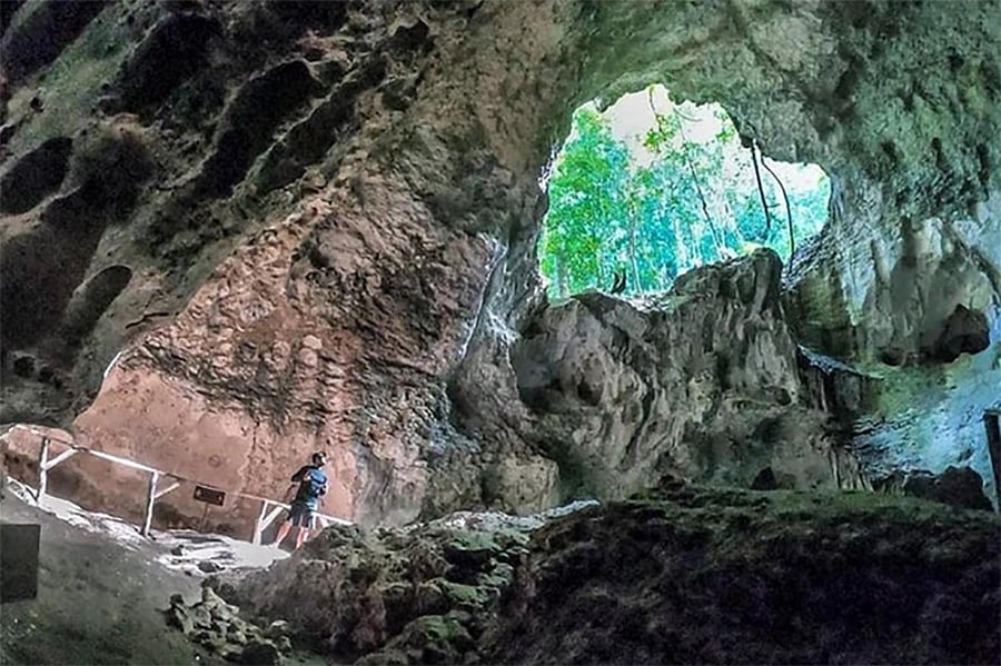 Do the Best Los Haitises Park Tours from Samana Dominican Republic.